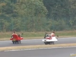 小鸡 钉 在 狗